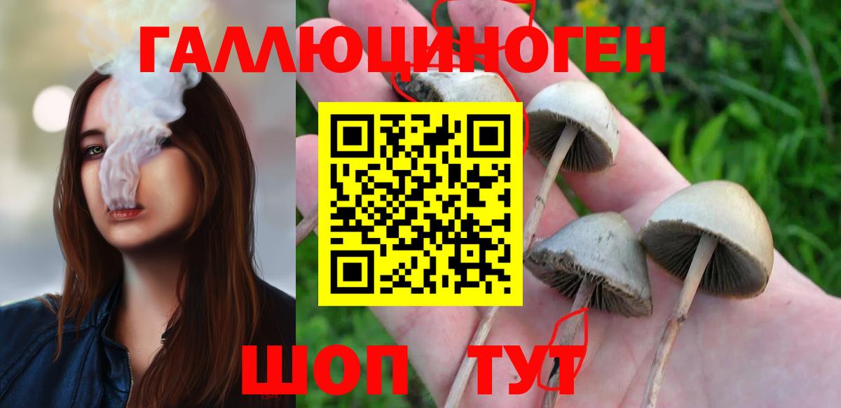 Галлюциногенные грибы GOLDEN TEACHER  Галлюциногенные грибы Magic Shrooms  Ипатово  Вход с VPN 